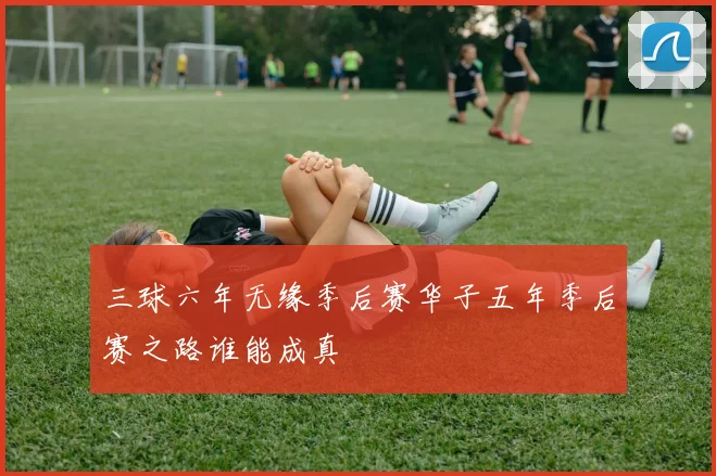三球六年无缘季后赛华子五年季后赛之路谁能成真